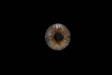 Thierry ANDRÉ - VO PHOTOS